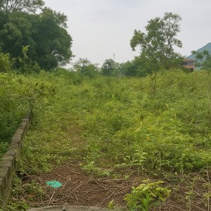siêu phẩm hơn 4.000m2 800m2 thổ cư, 40m mặt tiền, gần ql21a phân lô cực đẹp