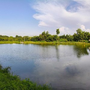 bán nhanh 1000m2 mặt tiền 30m view hồ, vị trí đẹp, giá chưa đến 10tr/m2