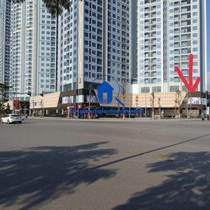 cho thuê mặt bằng siêu đẹp, lô góc khu hoàng huy mall, võ nguyên giáp, dt 150m2 x 4 tầng thông sàn