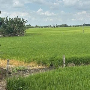 bán đất full thổ cư, đường betong, p3 kiến tường long an