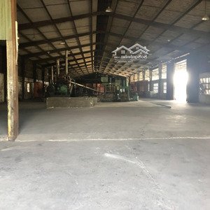 chính chủ cần cho thuê nhà xưởng tại 41 võ văn bích - củ chi, tổng diện tích: 13,000 m2