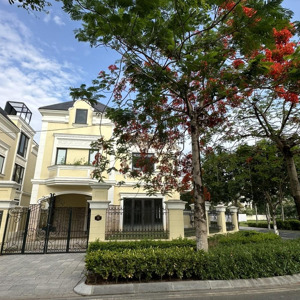 chị gái em bán đơn lập 280m2- có hầm âm(karaoke,thư viện)đông nam,trung tâm, cực đẹp- giá tốt 60 tỷ