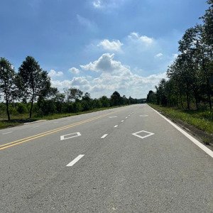 cần bán 2 lô đất đường nhựa lớn na5, mỹ phước 4, tp bến cát, gần đại học việt đức