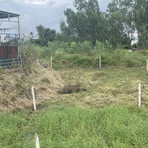 bán đất lúa vĩnh thái quy hoạch thổ 255,6m2 giá 920tr