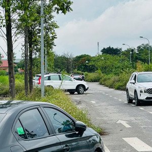 quỹ căn chuyển nhượng 60 & 80m đất dịch vụ tây tựu, vị trí đẹp, giá cực rẻ đường 12-30-46m