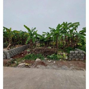 bán đất tại kỳ bá, thái bình, 2,2 tỷ, 40 m2