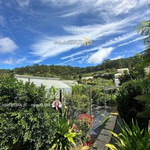 bán đất tặng homestay mặt tiền triệu việt vương view thông xanh giáp suối phường 3 1135m2 chỉ 35 tỷ