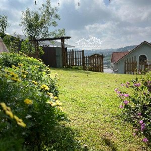 villa nghỉ dưỡng kèm mô hình kinh doanh sát thông xanh view cao thoáng