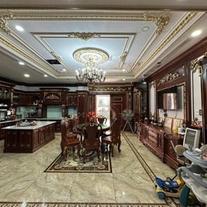 hot ! biệt thự tân sơn nhì - đẳng cấp , sang trọng quý phái , phường tân sơn nhì , quận tân phú