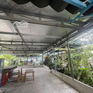 cho thuê đất trung tâm thành phố, mặt tiền 10m, đất 180m . đã cán nền xi măng cao