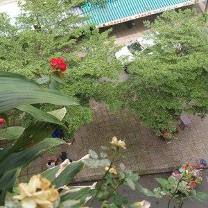 bán cc 2pn, 1wc, 65.23m2 tại huỳnh văn chính, tân phú, 1,987 tỷ, đẹp, nhiều tiện ích