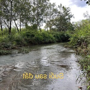 bán 1.5s hoà hội view suối, đất đẹp chính chủ
