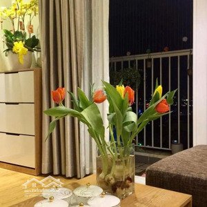 bán căn hộ chung cư i-home 1, 1,73 tỷ, 47m2 tại phạm văn chiêu, gò vấp, hcm