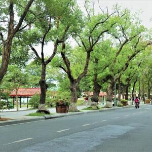  CHO THUÊ NHÀ 1.5 TẦNG MẶT PHỐ QUANG TRUNG - GIÁ 11TR