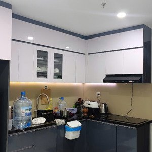 chủ cần bán gấp căn hộ chung cư tại picity high park q.12, giá bãn lỗ chỉ 2,55 tỷ, 58m2, 2pn1wc
