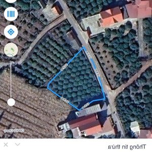 bán lô đất thổ cư đẹp mặt tiền khủng 29m tiềm năng đầu tư cực tốt lục nam - bắc giang