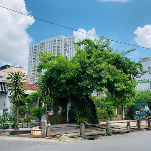 chính chủ bán nhà gần kha vạn cân 1 trệt 1 lửng kinh doanh sầm uất đang cho thuê 7tr/th 95,6m2