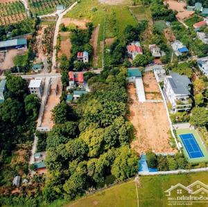 bán gấp | lô góc 917.8m2 tại trục chính xã hoà thạch, quốc oai | vị trí đắc địa| đơn giá chỉ 20tr/m