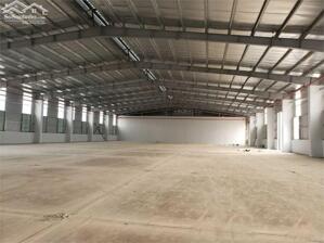 Cho Thuê 10.000 - 18.000m2 Nhà Xưởng Mới Tại Bàu Bàng Bình Dương Giấy Tờ đầy đủ