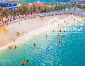 cơ hội đầu tư shophouse san hô - vinhomes ocean park
