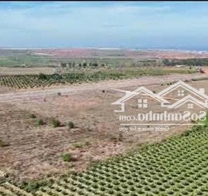cần sang nhượng khu đất gần 2ha, mặt tiền đường lớn tp phan thiết