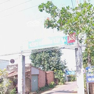 bán gấp đất tại xã tân lâm, 4 triệu / m2, 1677m2 bao đẹp, xem ngay