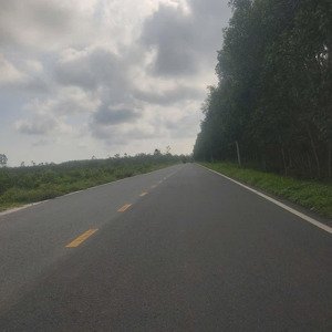 lô đất đẹp gần hồ tràm, sẵn thổ cư, gần cao tốc long thành - hồ tràm, giá tốt nhất khu vực