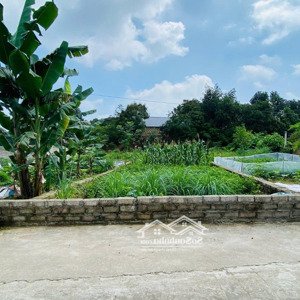 cần tiền bán 155m2 tại sơn đông sơn tây hà nội giá 2.2 tỷ. rẻ hơn thị trường. lh 