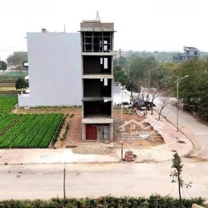 lk12 khu a, sổ đỏ kđt ceinco 5 dt: 100m - giá chỉ 60.5tr/1m2
