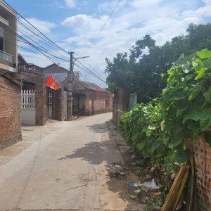 diện tích nhỏ full thổ cư đường oto tránh cách trục chính chỉ 50m tại tráng việt mê linh 