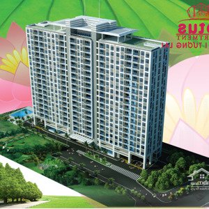 cho thuê căn hộ 70m2, 10 triệu, 2pn, 2wc tại hoa sen - lotus apartment, q11, hcm