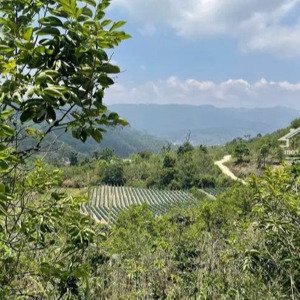 ngộp bank chủ cần bán đất đẹp tại trạm hành 2 view thung lũng đơn dương