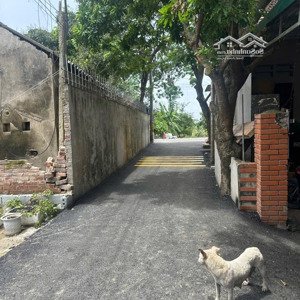 1 00m chương lộc -chương dương -thường tín mt=5m
đường trải nhựa ngõ thông oto vào tận đất