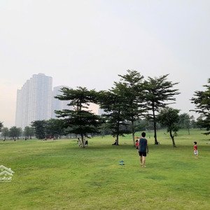 bán căn hộ ct12, hoàng mai, 65m 2 ngủ - giá nhỉnh 3 tỷ