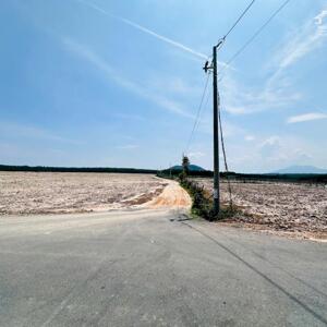  BÁN ĐẤT 2 SÀO 5 – ĐƯỜNG OTO – BÌNH AN 2, TÂN BÌNH, LAGI