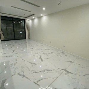 cho thuê căn hộ 2 ngủ ở s5 sunshine city