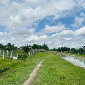5x60 có thổ cư ngay kế bên KCN Phước Đông. chỉ 499tr