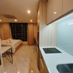 cho thuê căn hộ dịch vụ cao cấp ngay thạch thị thanh quận 1 vị trí gần cv lê văn tám, full nội thất