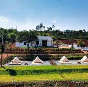 bán đất làm tổ hợp khu đô thị sinh thái, vui chơi, hồ câu cá tại hạ long, giáp công viên rừng.