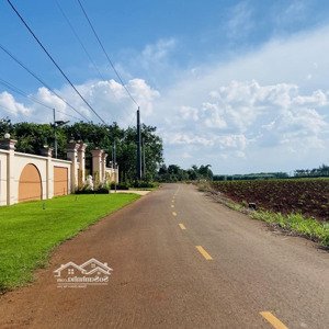bưng riềng, huyện xuyên mộc, tỉnh bà rịa - vũng tàu. dt: 40x38 lh: 