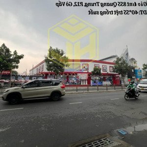 cho thuê siêu phẩm 4 mặt tiền đường quang trung 40x55 trống suốt có pccc vị trí có 1 0 2