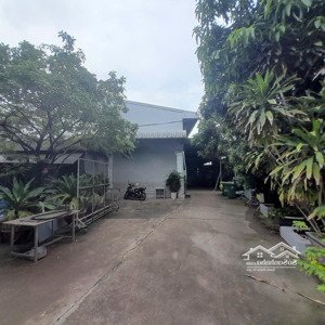 kho xưởng cho thuê , quận 12 , diện tích 3,500m2 , đường xe container