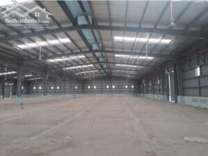 Cho Thuê 6.000m2 Nhà Xưởng Khu Vực Bàu Bàng - Bình Dương