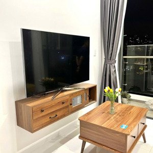 cần cho thuê căn hộ 2pn full nội thất - chung cư dlusso nguyễn thị định quận 2 15 triệu/tháng