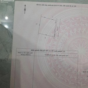 bán đất bưng riềng dt:1500m2 ngang 40mx39m đường nhựa thông, khu vực có nhiều homestay và villa