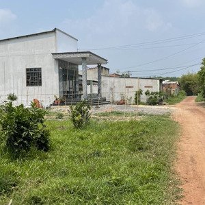 chính chủ bán đất mặt tiền rộng 71m, 1 sẹc đường nhựa an nhơn tây dân cư đông củ chi
