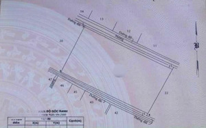 2,2ha đất tại ấp 5 , đường an hạ , bình chánh , tp hcm . cần bán gấp