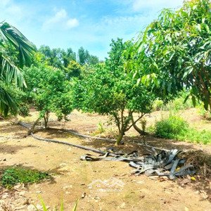 bán 1,1 mẫu đất trái cây view suối tại phước tân - h.xuyên mộc - bà rịa vũng tàu siêu rẻ