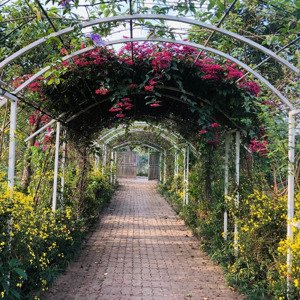 chính chủ nhượng 2500m2 vườn khu bãi giữa mặt sông hồng -phường tứ liên-tây hồ-hà nội