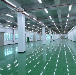 cho thuê kho 3.000m2, khuôn viên: 5.000m2 tại lê văn qưới, gần bốn xã, bình tân, trạm 1.000kva